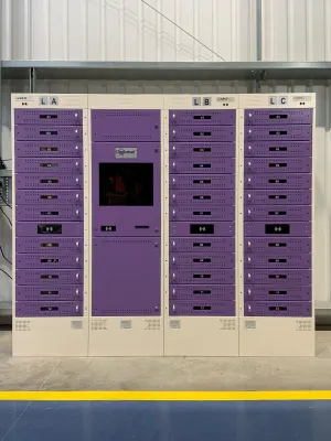 Diplomat™ Pro Smart Locker Weston College